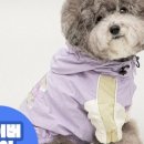바잇미 이미지