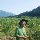 예성유기농