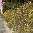 희망주는지역아동센터 | 대전심리검사 희망톡심리상담센터 바우처도 가능