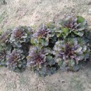 와야농장 이미지