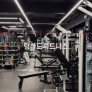 팀하드 피티 | 용산 한남동 헬스장 팀하드피트니스 가격 일일권 pt 후기