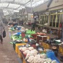 춘천풍물시장 | 춘천 풍물시장 장구경 다녀온 후기! 먹거리부터 구경거리까지 한 바퀴