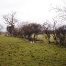 성종농장 이미지