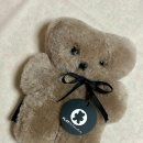 시드니 필수 쇼핑리스트 기념품 선물 쇼핑템 쇼핑필수템 어그익스프레스 시내면세점 패디스마켓 울월스...