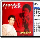 샌디김
