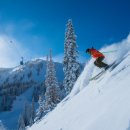 &#34;겨울아 반갑다&#34; 한·미·일 &#39;스키 삼국전&#39; 이미지