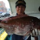 금강낚시 이미지