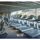 로얄프라자 | 홍콩 숙소 추천 로얄 플라자 호텔 특가 조식 수영장 17% 할인 | 32 → 26만