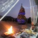 바오마루 이미지