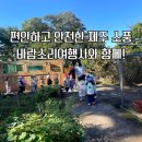 소리여행사 이미지