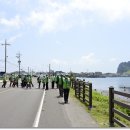 오조리-7 이미지