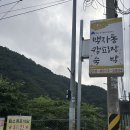 백자동 | [경기 가평] 백자동캠핑장 서울 근교 깊은 계곡