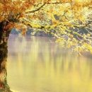 안경세상 이미지