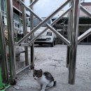 명희네밥집
