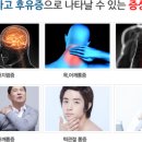 포바즈