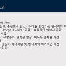 (주)에프앤티바이오 이미지