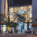 비야네상점 | Matsuyama, Japan (2025) : Day2