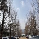 신세계7080라이브 | 가기 딱! 🏯 고양 강강술래 늘봄농원점 설 연휴 가족 외식 (주차, 식사관 가격, 야외 라이브 카페 꿀팁)