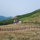 영의농장 이미지