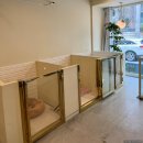 순독살롱 이미지