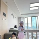 페리미츠신 이미지