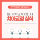 루미에치과교정과치과의원 네이버블로그