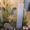 시로 C | 문정동 미용실 '아티크레 아티스틱 문정점' 시로 선생님 뿌리염색 + 모발클리닉 후기