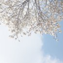 방배로27길 53 이미지