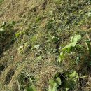 홍남농장 이미지