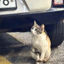 GS25 정동진점 | 251003 정동진 당일치기!!!