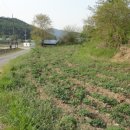 용문농장 이미지