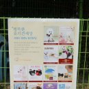 웰리스퍼피 이미지