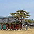 서산농업협동조합 | [서산 당일치기 여행] 해미읍성 한바퀴 입장료,체험 후기