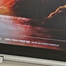 조원유통 | 또다시 미숙한 사랑은 자라나고 (25.03.17-25.03.31)