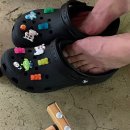 뽀야네 민박집 이미지