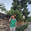 [박강수 커버곡 이벤트] 왜 (박강수 8집) 이미지