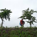 남천제방길 이미지