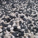 발바닥공원 이미지