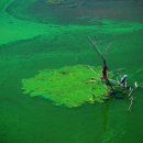 금강페인트 이미지