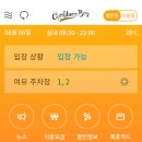 메가코인 이미지