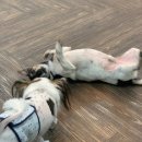 몽글 몽글 이미지