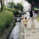 금하기업