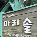허브향기펜션 | 태안 몽산포 해루질펜션 마리솔펜션 포인트까지 알려주는 가성비 숙소 방문 후기
