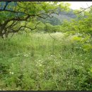 덕산리경로당 이미지