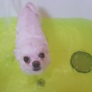 러블리멍 이미지