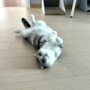 행복보일러