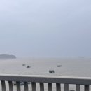 대부도 여행 - 남자친구 생일 알차게 보내기 프로젝트 ♬ (선재로99 조개구이, 선재치킨 후기 포함)