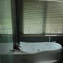 개울옆 펜션 이미지