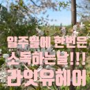 라잇유헤어 이미지