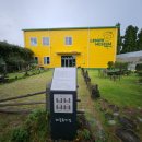 서귀고양이 이미지